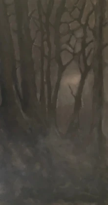 Koele november avond - 2025