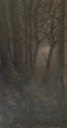 Koele november avond - 2025