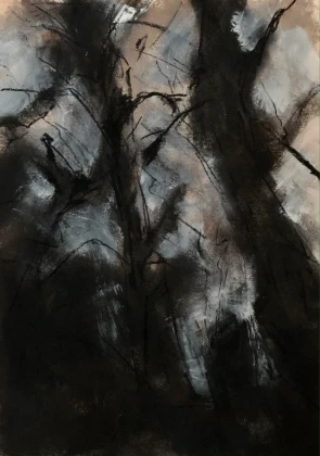 Duistere bomen - 2025